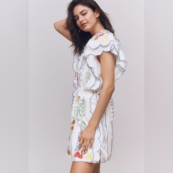 Farm Rio x Anthropologie Embroidered mini Dress - Picture 4 of 4